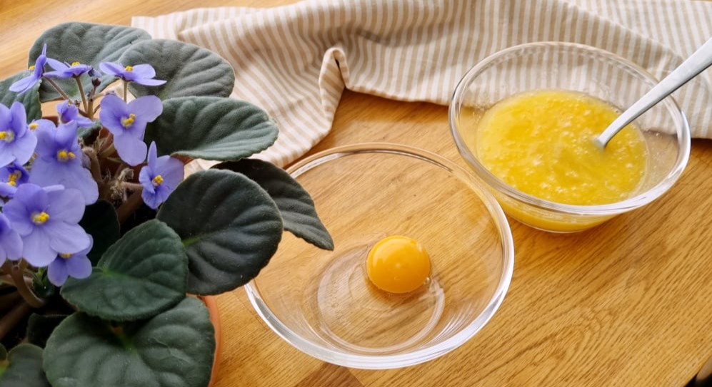 Prepare the Egg Mixture