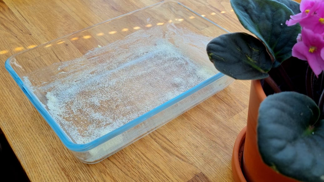 Get the Oven and Dish Ready