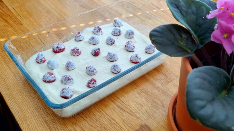 Assemble the Casserole 2